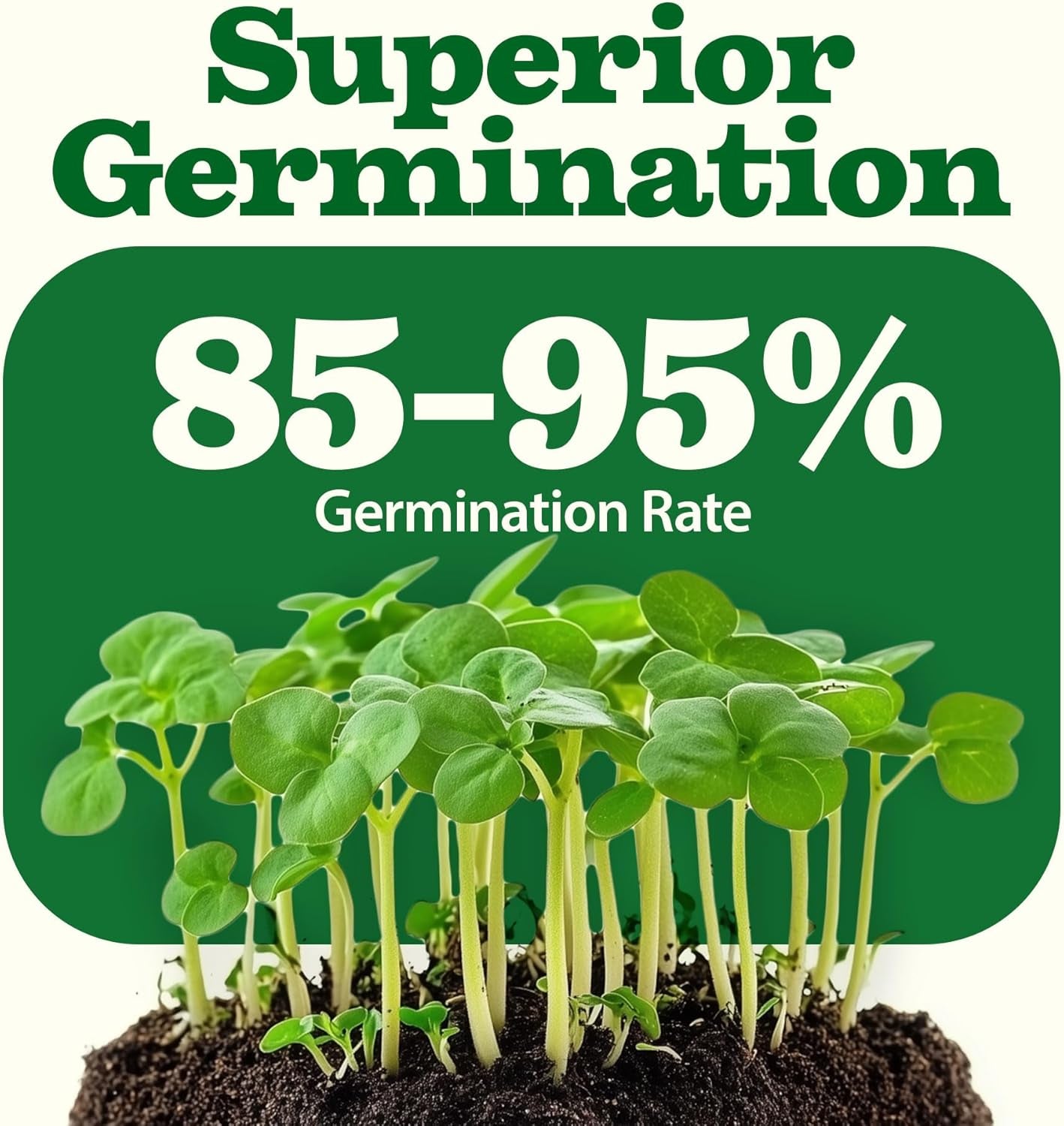 27,500+ Heirloom Vegetable Seeds | Non GMO Garden Seed 55 Variety Pack | Gardening Seeds for Planting Vegetables and Fruits, & Lettuce | Prepper Supplies | Survival Gear | Spring, Summer, Fall